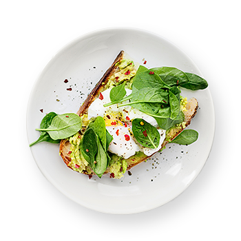 Speisekarte Food Dish 05